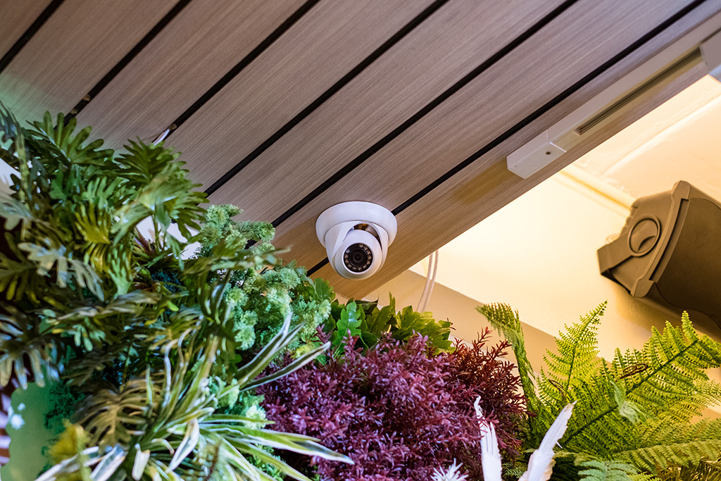 camera videosurveillance
