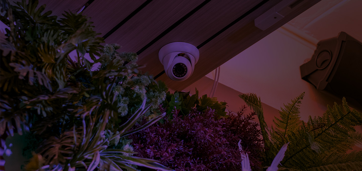 alarme securite toulouse